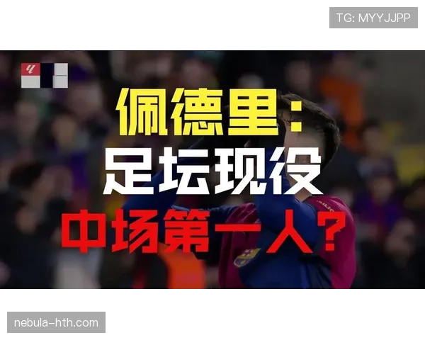从新星到冠军中场:巴尔韦德的荣誉进阶之路 从新星到冠军中场:巴尔韦德的荣誉进阶之路